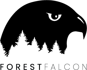 asset 2